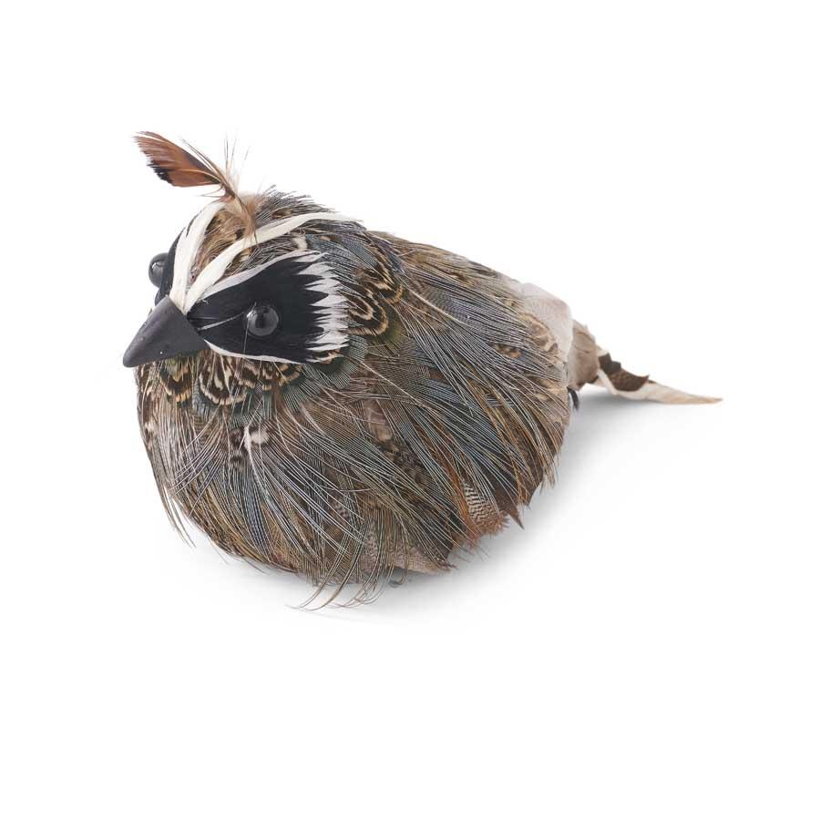 Feathered Quail - Royalties