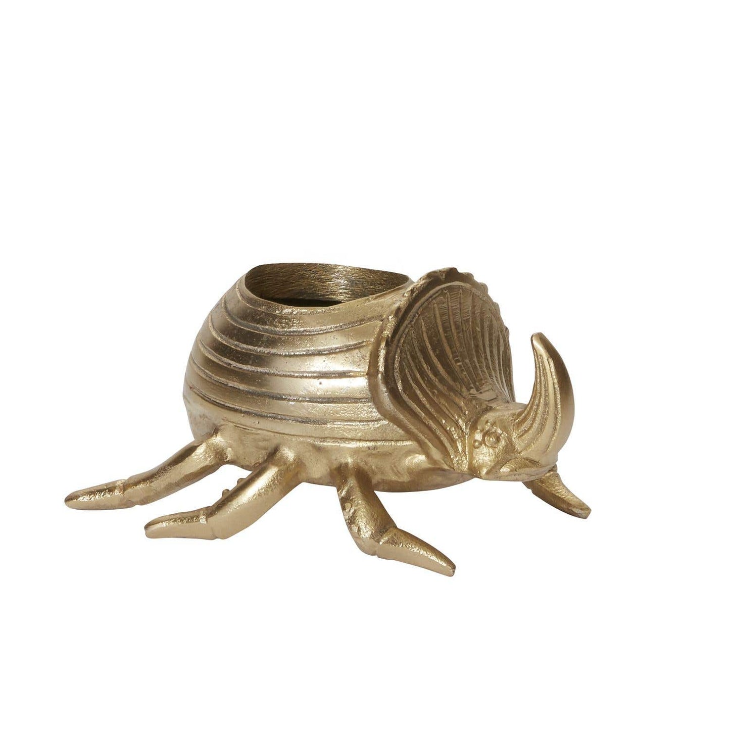 Golden Scarab Pot - Royalties