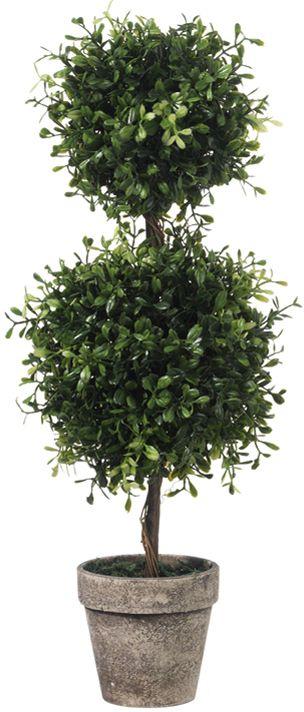 19.5" Boxwood Topiary - Royalties