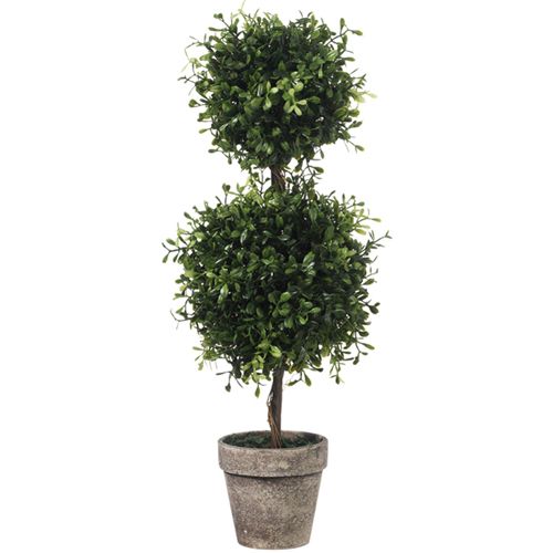 24" Boxwood Topiary - Royalties