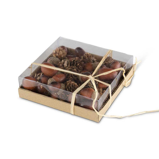 Box of Dark Brown Acorns with Pinecones - Royalties