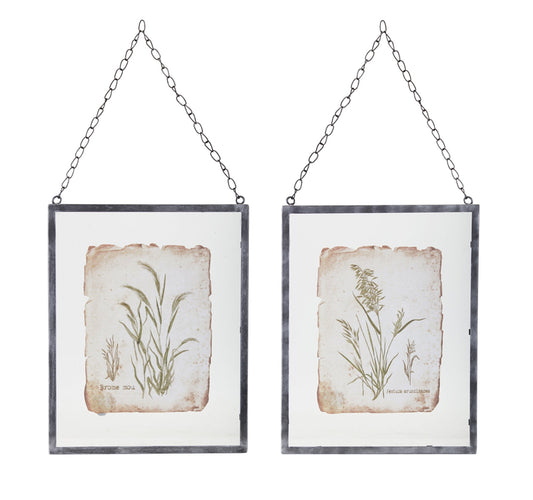 Hanging Metal and Glass Frame with Botanical Print - Royalties