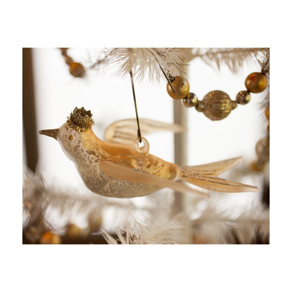 Peaceful Bird Ornament - Royalties